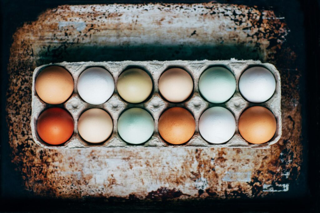 dozen eggs on tray